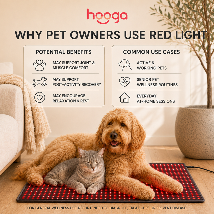 Dog and cat resting together on the Hooga HG-BE980 red light therapy pet mat