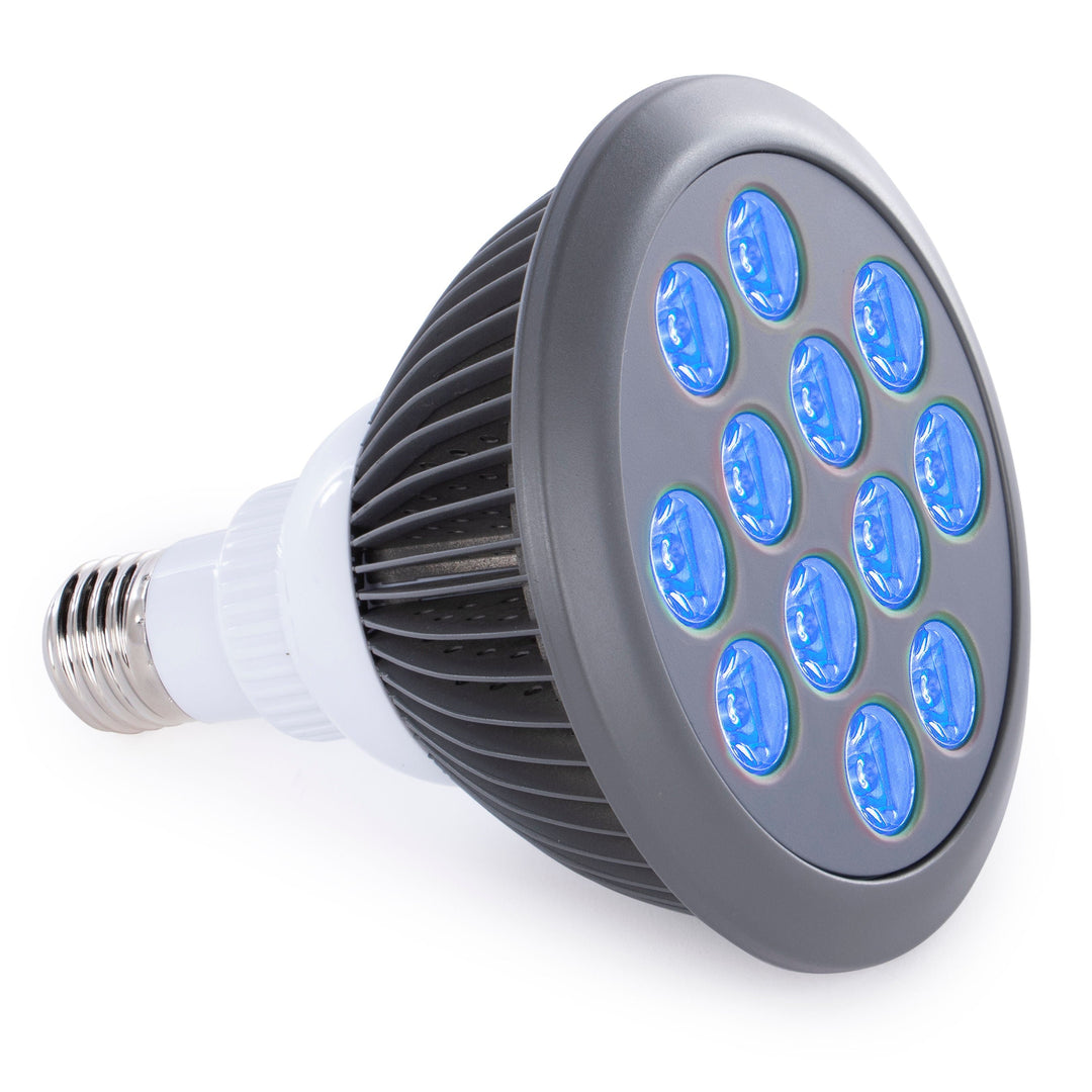 Hooga HG24 blue light therapy bulb front view with blue LEDs