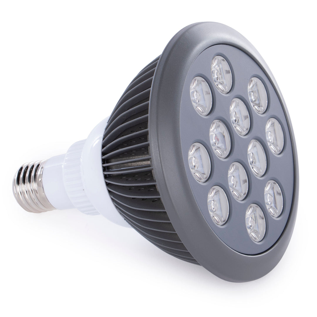 Quarter view of the Hooga HG24 light therapy bulb with socket