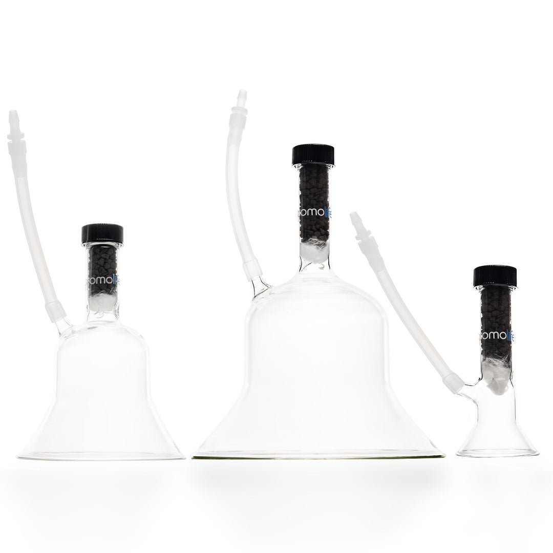 Promolife Ozone Glassware Cups in 2, 4 and 6 inch sizes side by side